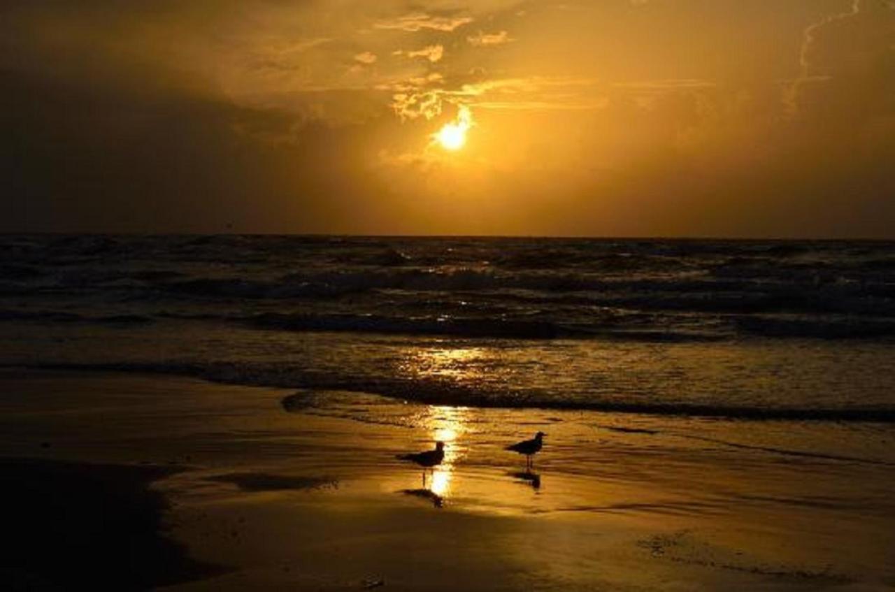 Affordable Family Condo -Walking Distance To Beach By Mustang Island, Sleeps Four, 2025 Traveler Award 科珀斯克里斯蒂 外观 照片
