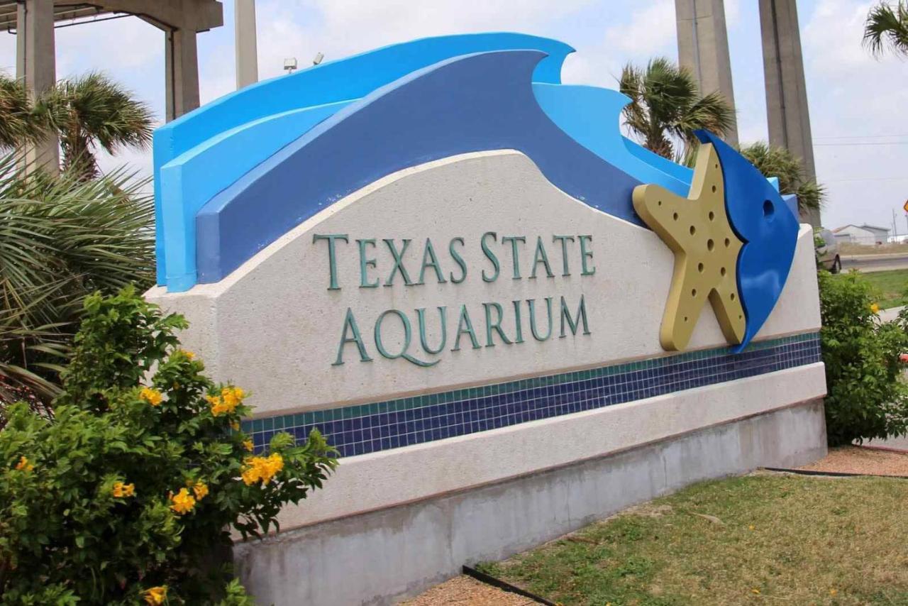 Affordable Family Condo -Walking Distance To Beach By Mustang Island, Sleeps Four, 2025 Traveler Award 科珀斯克里斯蒂 外观 照片